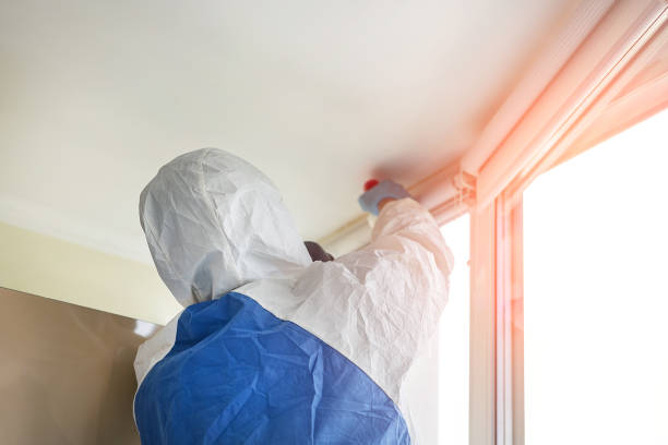 Best Emergency Mold Remediation  in Cornelia, GA