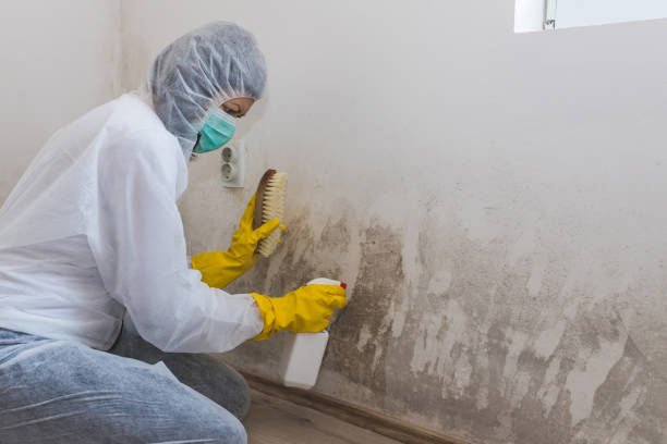 Forensic Mold Investigation in Cornelia, GA