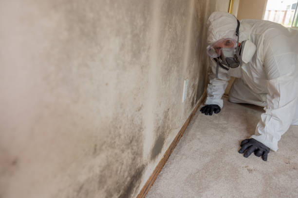 Best Residential Mold Inspection & Testing  in Cornelia, GA